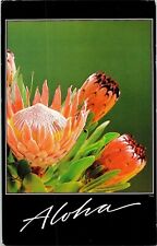 Aloha Exotic Protea Flower Island Maui Desilva Honolulu 1960s Vintage Postcard for sale  Shipping to South Africa