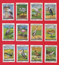 Poster stamps waders d'occasion  Saint-Genis-Pouilly