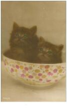Cats. 14578.kittens bowl d'occasion  Expédié en Belgium