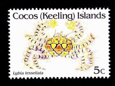 Used, COCOS ISLANDS    SCOTT# 249   MNH    CRUSTACEAN, LYBIA TESSELLATA for sale  Shipping to South Africa