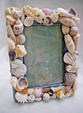 Real seashell frame for sale  Duluth