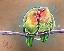 Print lovebirds colored for sale  Royse City