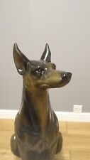 Large doberman pinscher for sale  GREAT YARMOUTH