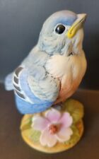 Baby blue bird for sale  Southampton