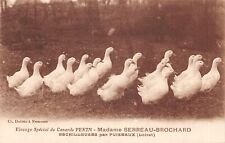 Peking duck breeding d'occasion  Expédié en Belgium