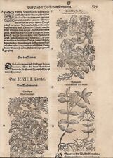 Tabernaemontanus herbarium wal gebraucht kaufen  Augsburg