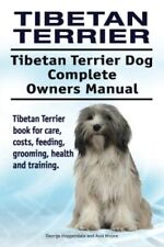 Tibetan terrier. tibetan for sale  UK