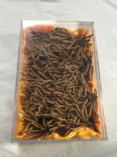 Cordyceps séchés 100gr. d'occasion  Privas