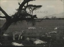 1955 press photo for sale  Memphis