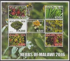 Malawi: Zioła Malawi, nieoprawione znaczki mennicze w miniaturowych arkuszach umm, 2014 na sprzedaż  Wysyłka do Poland