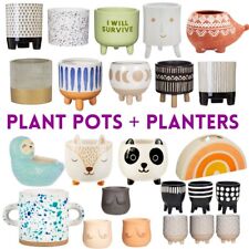 Plant pots plants for sale  UK