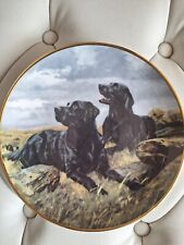 Labrador dog plate for sale  BENFLEET