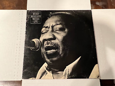 Muddy Waters- Muddy "Mississippi" Waters Live- LP 1979 Blue Sky JZ 35712 comprar usado  Enviando para Brazil