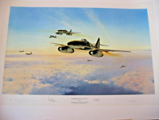 Stormbirds reich me262 for sale  Sheridan