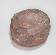 Lovely hadrosaur egg for sale  Shipping to Ireland