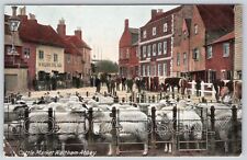 Waltham abbey cattle for sale  MANSFIELD