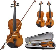 Akustische violine 4 gebraucht kaufen  Deutschland