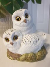 Nestling owlets fine for sale  NORTHAMPTON