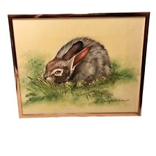 Chapman signed rabbit for sale  Houston