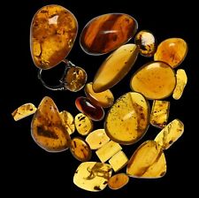 Pieces burmese amber for sale  Green Bay