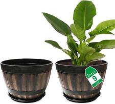 Plastic plant pots for sale  Ireland