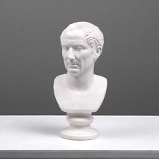 Julius caesar bust for sale  Shipping to Ireland