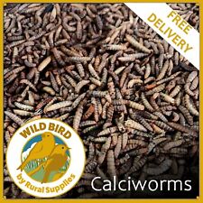 Calciworms wild bird for sale  GOOLE