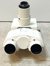 Zeiss 452934 microscopio usato  Spedire a Italy