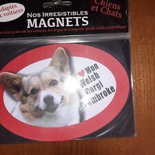 Magnet chien aime d'occasion  Concarneau