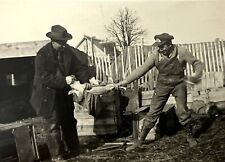 Occupational RPPC Farmers Skinning A Chicken With PET CAT In Background for sale  Shipping to South Africa