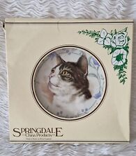 Springdale china cat for sale  UK