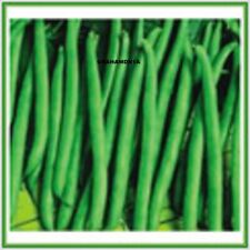 Climbing french bean for sale  DONCASTER