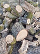 Brennholz eiche gebraucht kaufen  Markneukirchen