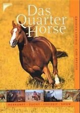 Quarter horse herkunft gebraucht kaufen  Ohlsbach
