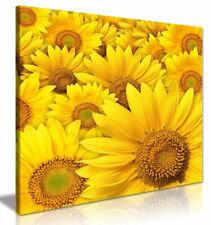 Yellow sunflower canvas for sale  LONDON