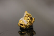 Natural alaskan gold for sale  Renton