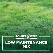 Low maintenance grass for sale  Lancaster