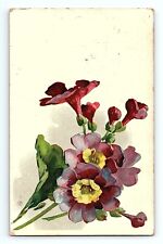 Gloxinia Plant Large Flower Botanical Floral Greeting Card Vintage Postcard, used for sale  Shipping to South Africa