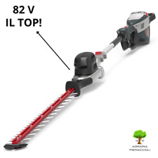 Tagliasiepi batteria 82v usato  Camaiore