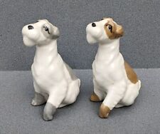 szeiler dog for sale  BRISTOL