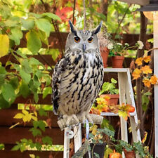 Owl decoy bird for sale  UK