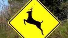 Deer crossing caution for sale  Powell