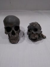 Piece resin skull for sale  New Richmond