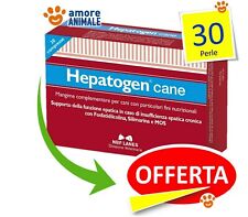 Nbf lanes hepatogen usato  Serra De Conti