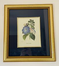 Framed Lithograph Print Professionally Matted Achimenes Longiflora, used for sale  Shipping to South Africa