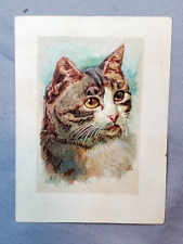 Cat victorian 1890s for sale  Belmar