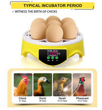 Eggs incubator poultry for sale  Ontario