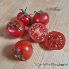 Tomate primabell mikrodwarf gebraucht kaufen  Mettenheim