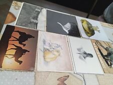 Cartoline animali vari usato  Soriano Nel Cimino