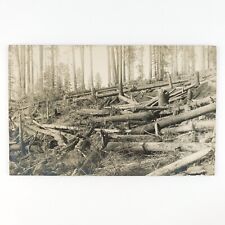 logging tree clearing for sale  Portland